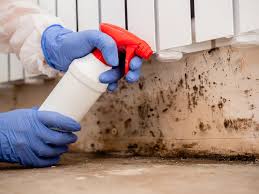 Reliable Grantley, PA Mold Prevention & Removal  Solutions